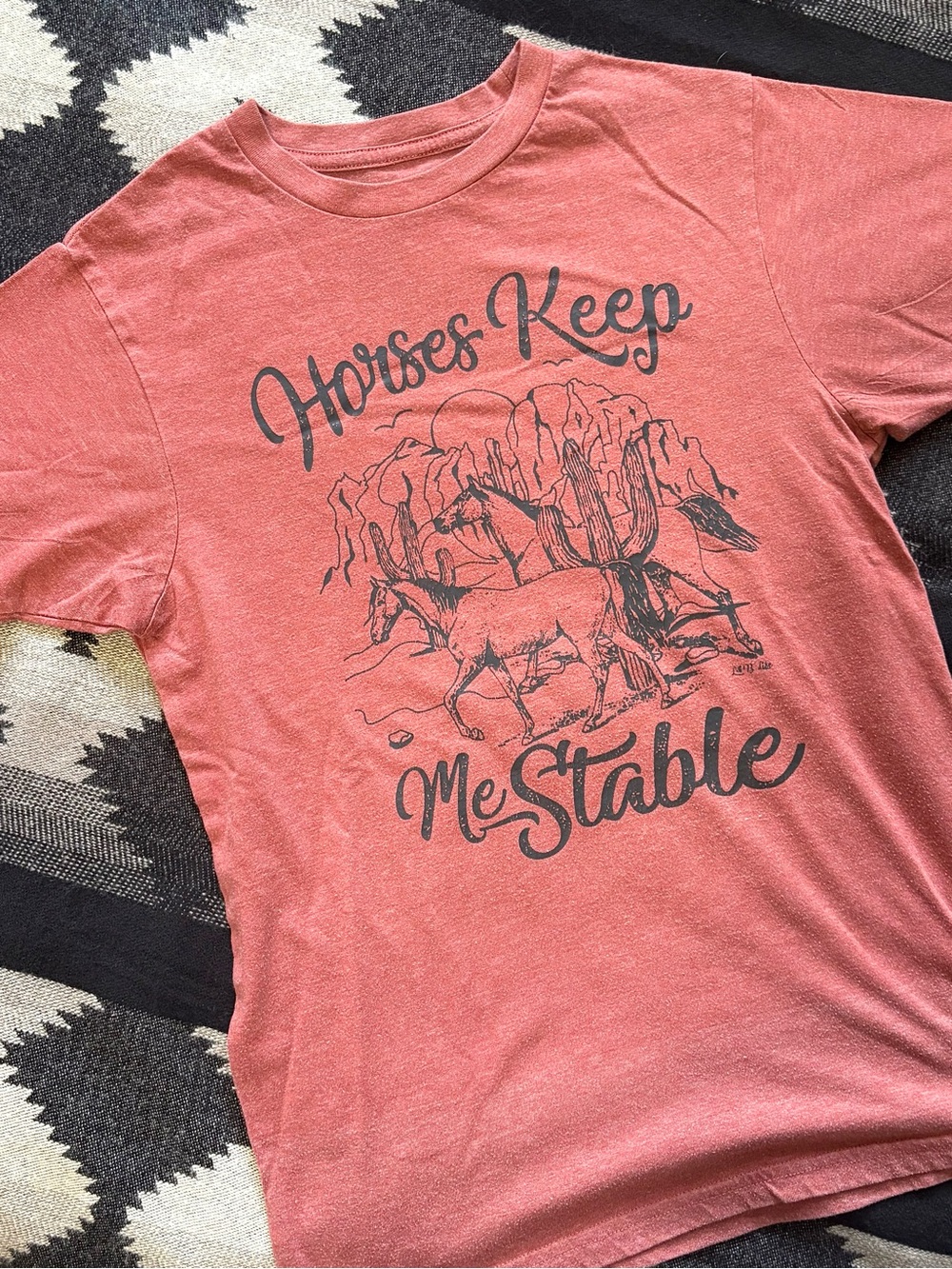 Horses Keep Me Stable Graphic Tee - Rusty Red